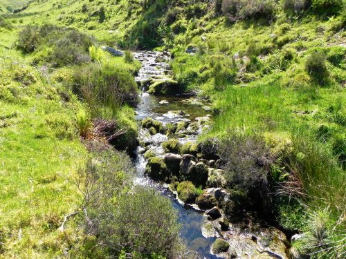 14.-Flowing-to-Furzehill-53