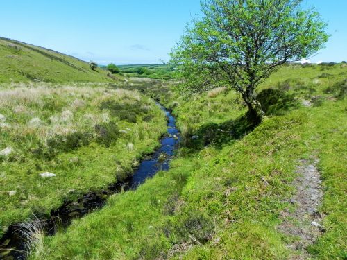 14.-Flowing-to-Furzehill-56