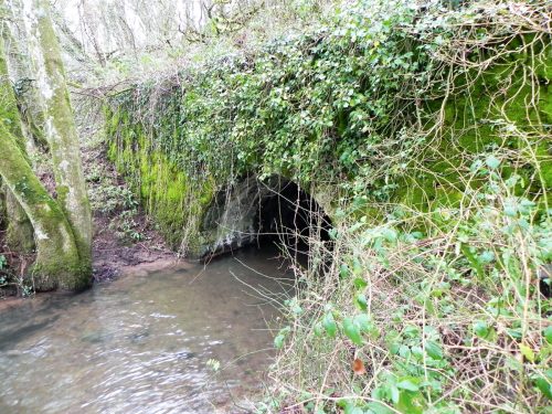 14.-Frog-Pit-Moor-Railway-Culvert-downstream-face-2