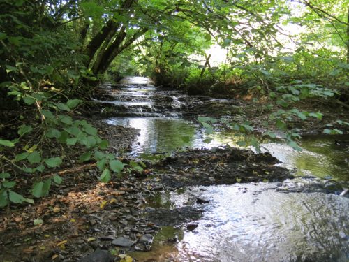 14.-Joins-River-Tone