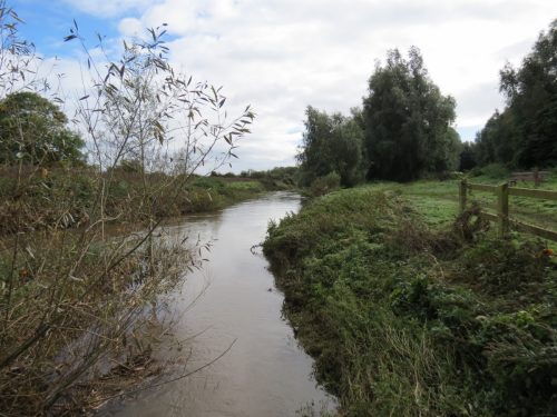 14.-Looking-downstream-from-Hankridge-Water-Park-footbridge