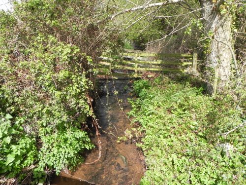 14.-Looking-downstream-from-Holt-Bridge