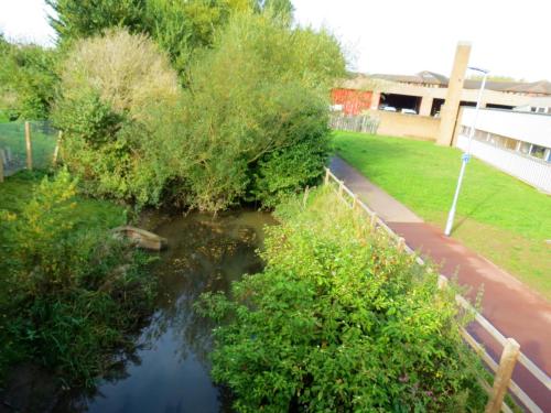 14.-Looking-upstream-from-Mill-Stream-Third-Way-Bridge-2