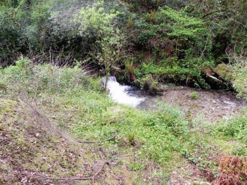 14.-Pit-Wood-culvert-outlet-3