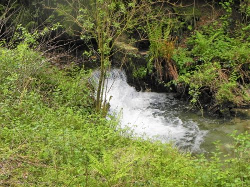 14.-Pit-Wood-culvert-outlet-4