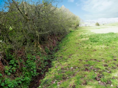 14.-Tivington-Knowle-headstream-2