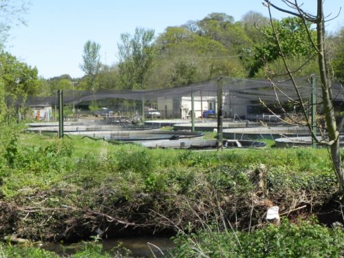 14.-Torr-Fishery