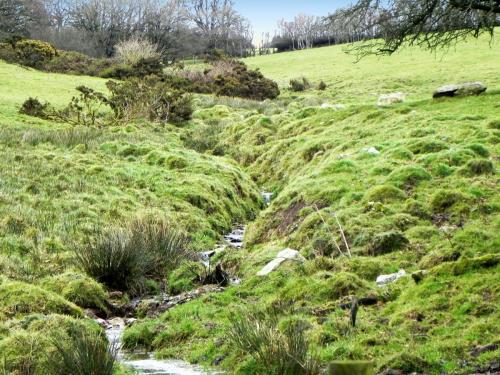 14.-Tributary-stream-flowing-from-East-side-of-Quarme-Hill-2