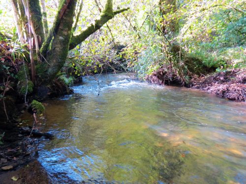 14.-Upstream-from-Church-Bridge-10