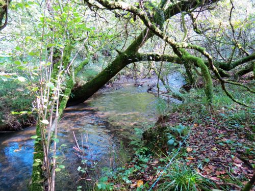 14.-Upstream-from-Church-Bridge-11