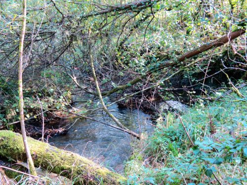 14.-Upstream-from-Church-Bridge-13