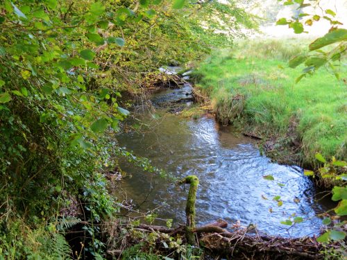 14.-Upstream-from-Church-Bridge-8