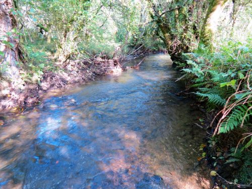 14.-Upstream-from-Church-Bridge-9