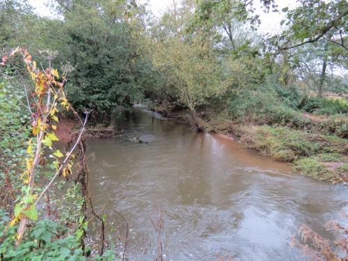 14.-Upstream-from-Hele-Mill-weir-1