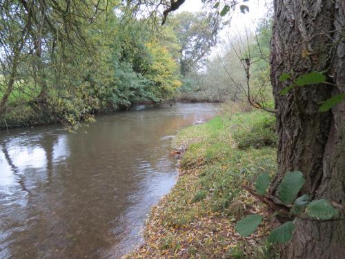 14.-Upstream-from-Hele-Mill-weir-3