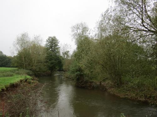 14.-Upstream-from-Hele-Mill-weir-5