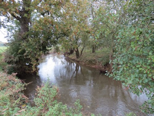 14.-Upstream-from-Hele-Mill-weir-6