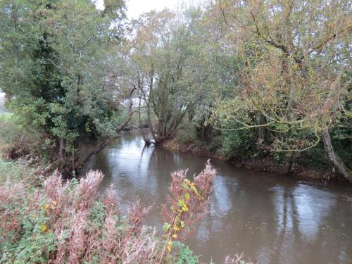 14.-Upstream-from-Hele-Mill-weir-7