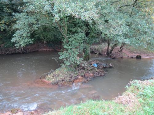 14.-Upstream-from-Hele-Mill-weir-8
