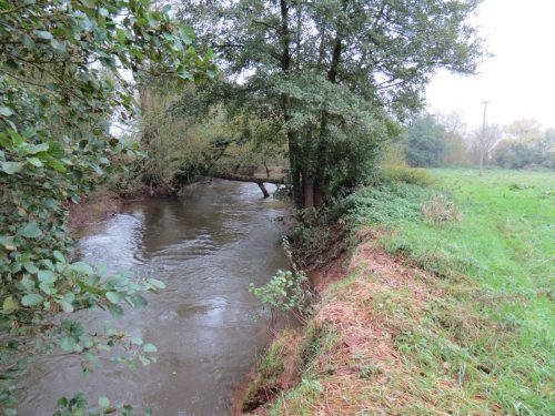 14.-Upstream-from-Hele-Mill-weir-9
