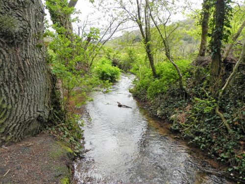 14.-Upstream-from-Knowle-Lane-Bridge-2