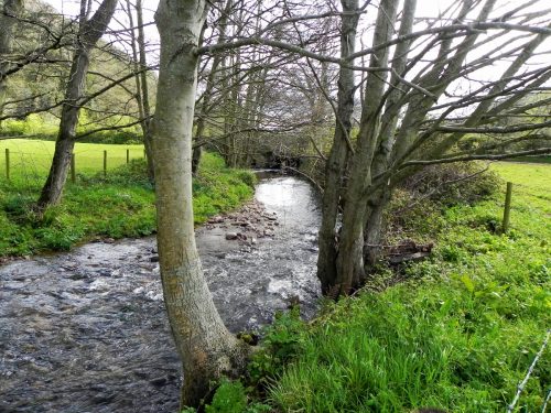 14.-Upstream-from-Old-Frackford-Bridge-2