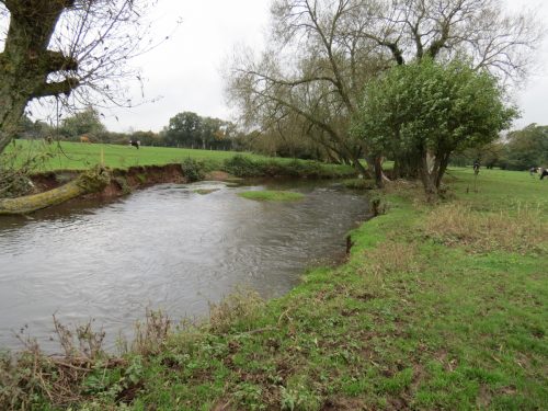 14.-Upstream-from-Tone-Green-1