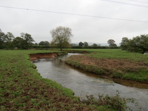 14.-Upstream-from-Tone-Green-14