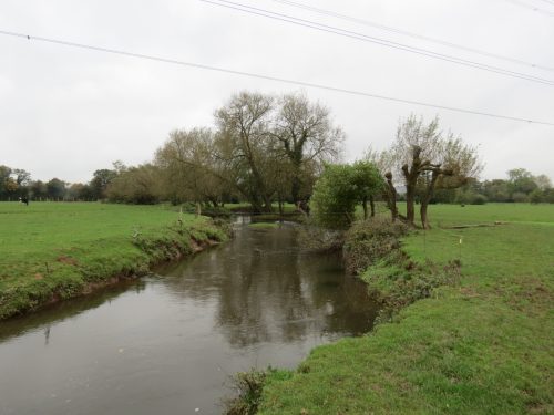 14.-Upstream-from-Tone-Green-2