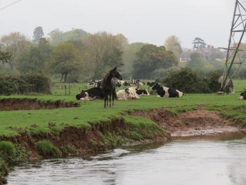 14.-Upstream-from-Tone-Green-7