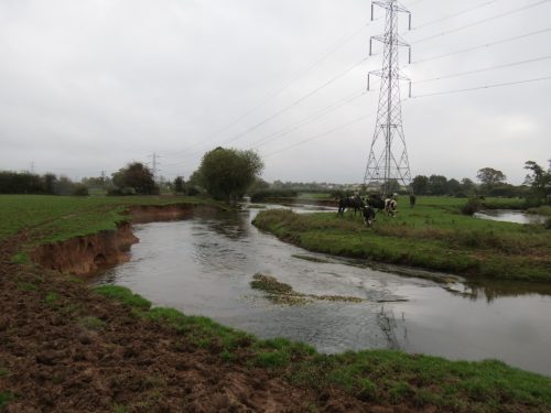 14.-Upstream-from-Tone-Green-9