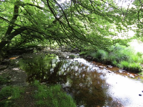 14.-Upstream-from-Warrens-Bridge-1