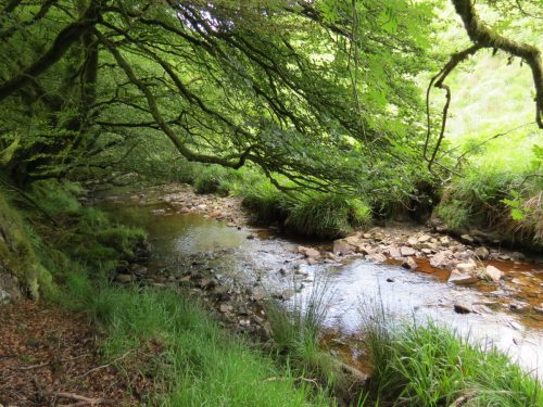 14.-Upstream-from-Warrens-Bridge-3