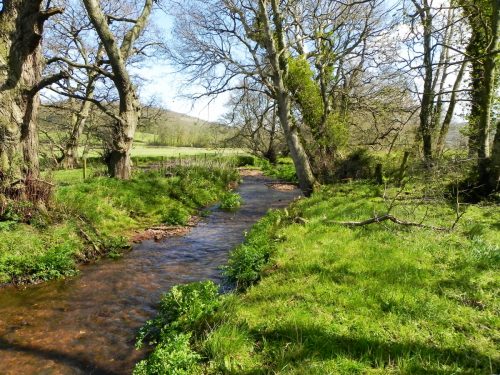 14.-Upstream-from-Water-Quality-Station-2