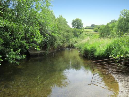 14.-Upstream-from-Winsford-Cricket-ground-1