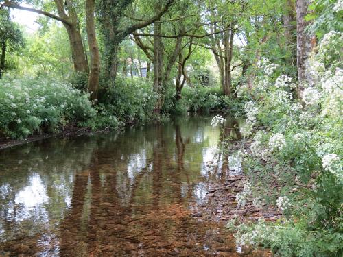 14.-Upstream-from-Winsford-Cricket-ground-1 (1)