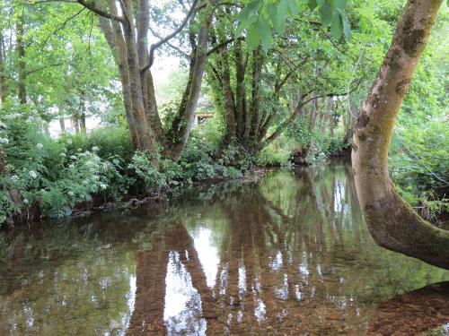 14.-Upstream-from-Winsford-Cricket-ground-3