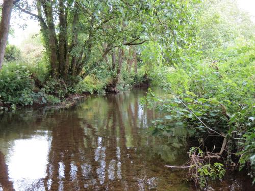 14.-Upstream-from-Winsford-Cricket-ground-4