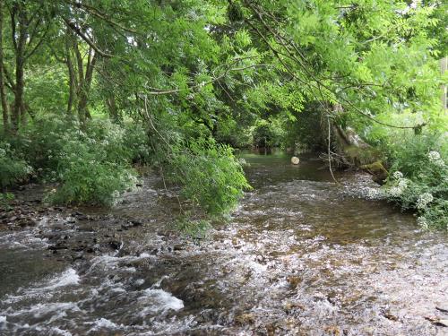 14.-Upstream-from-Winsford-Cricket-ground-5