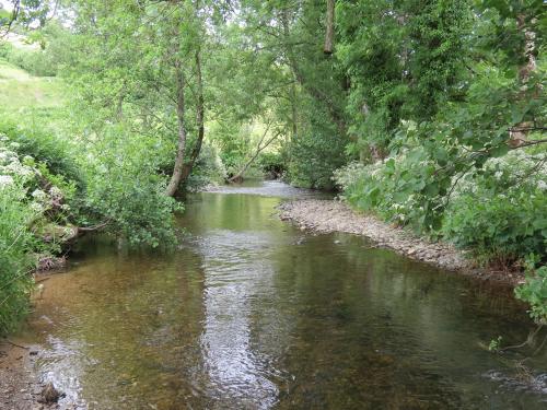 14.-Upstream-from-Winsford-Cricket-ground-6