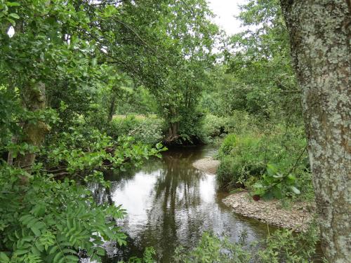 14.-Upstream-from-Winsford-Cricket-ground-7