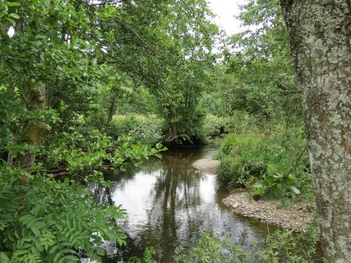 14.-Upstream-from-Winsford-Cricket-ground-7