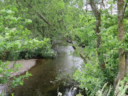 14.-Upstream-from-Winsford-Cricket-ground-9