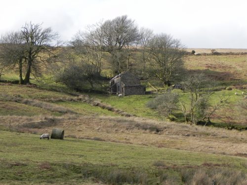 14.-Viewed-from-Hoar-Oak-Water