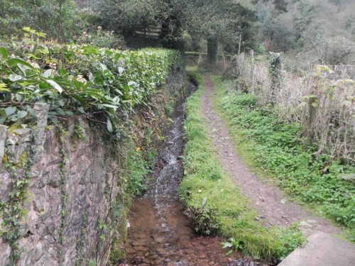 14.-Waters-from-Ley-Combe-join