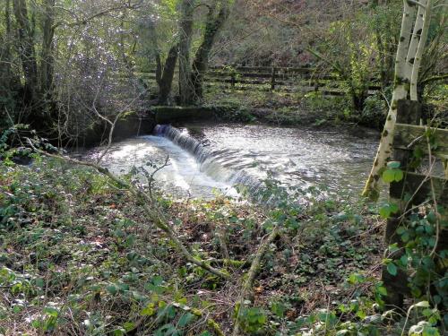 14.-Weir-downstream-from-ROW-Bridge-5540-2