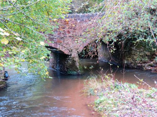 14.-Wellisford-Bridge-upstream-arches-2