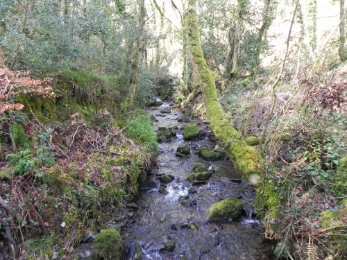 140.-Looking-upstream-from-ROW-Bridge-3331