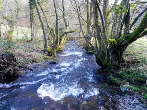 14a.-Downstream-from-Weir-2