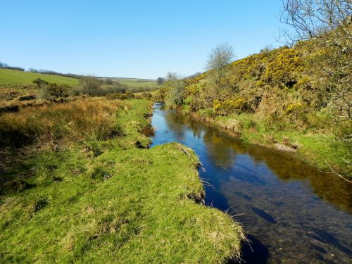 15.-Downstream-from-Cloggs-Farm-2